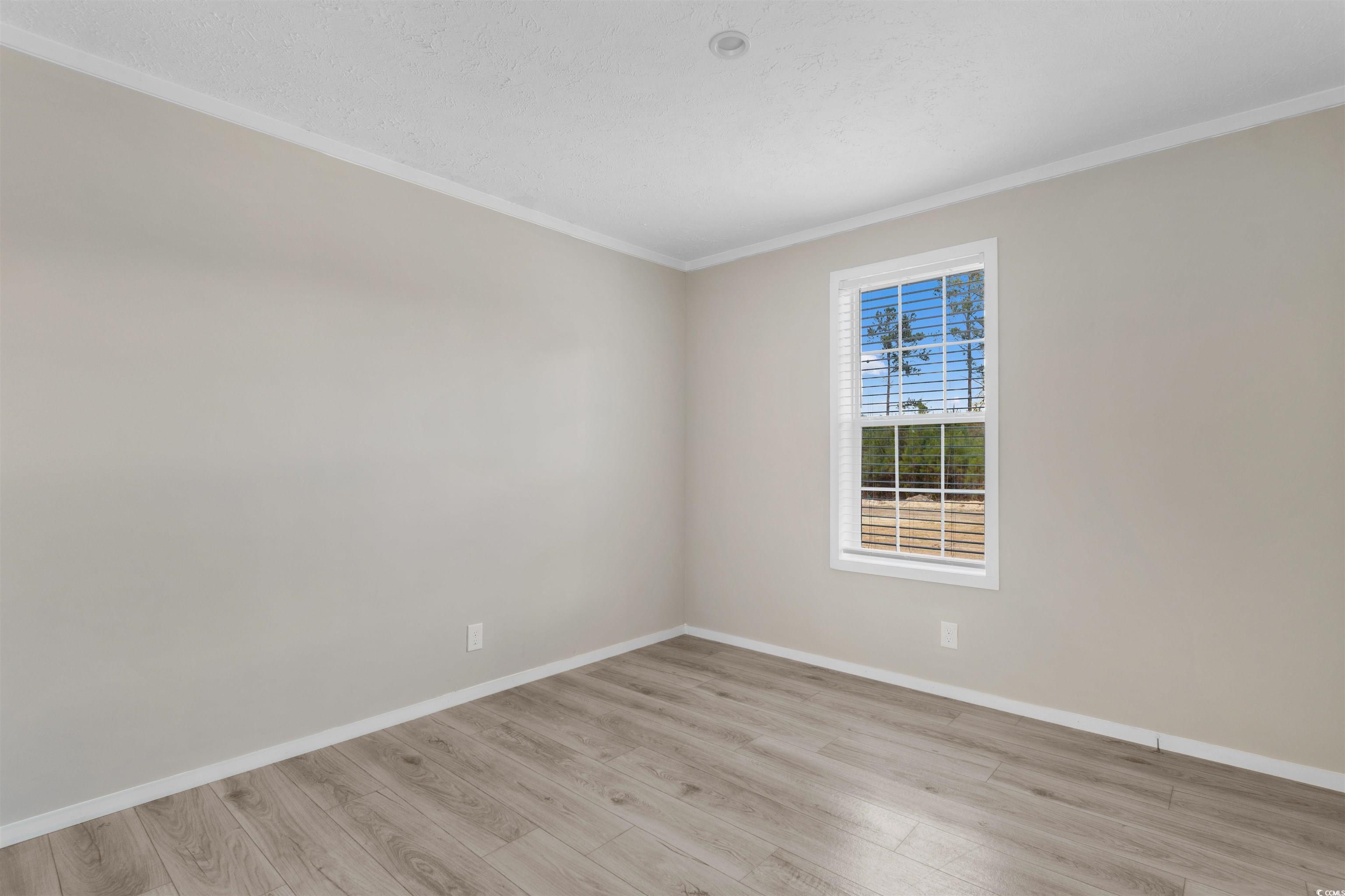121 Feather Drive Georgetown, SC 29440 - Photo 21 of 40 Unfurnished room with light wood-style floors and ornamental molding