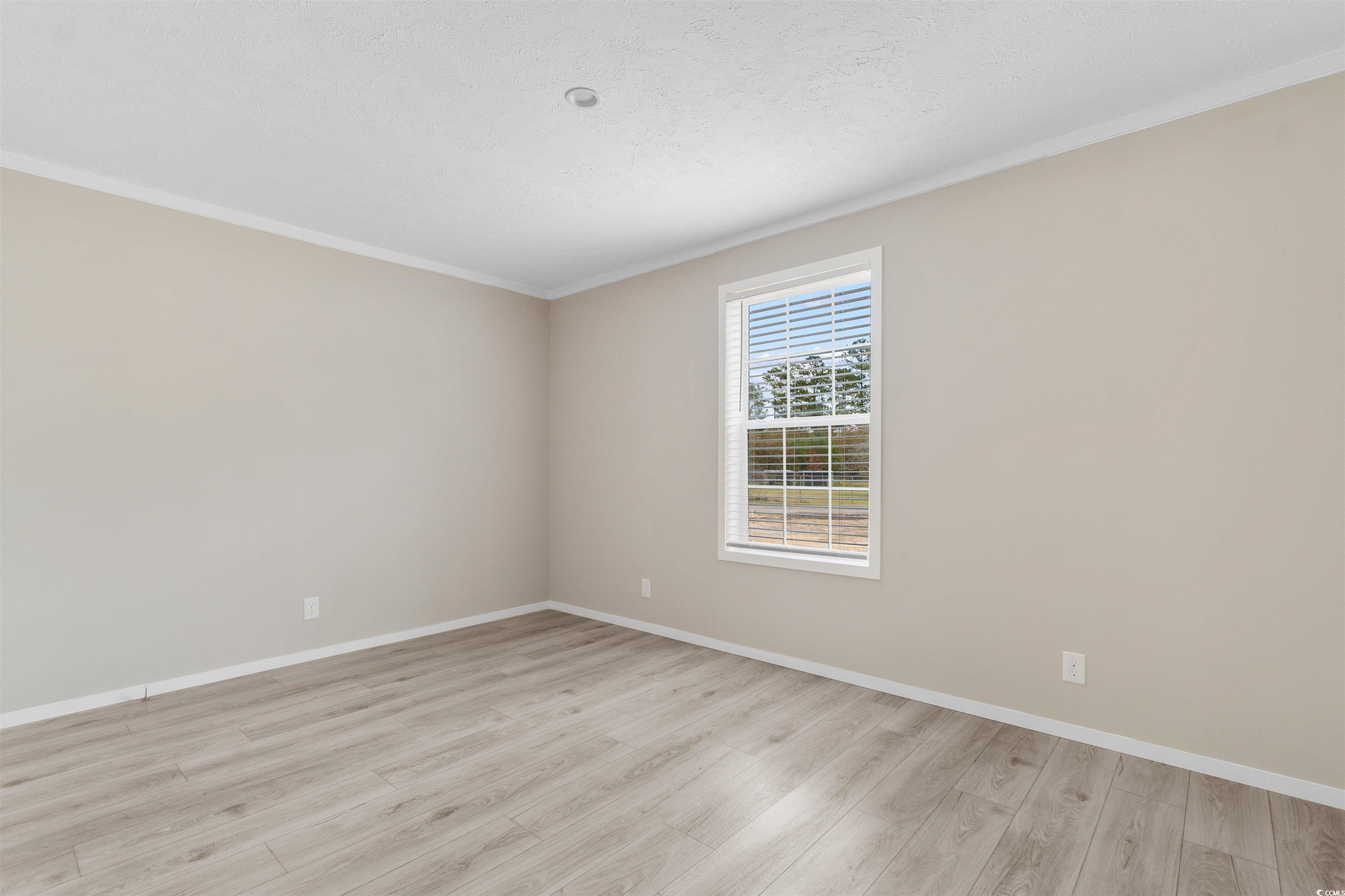 121 Feather Drive Georgetown, SC 29440 - Photo 25 of 40 Empty room featuring light wood-style floors, crown molding, and a textured ceiling