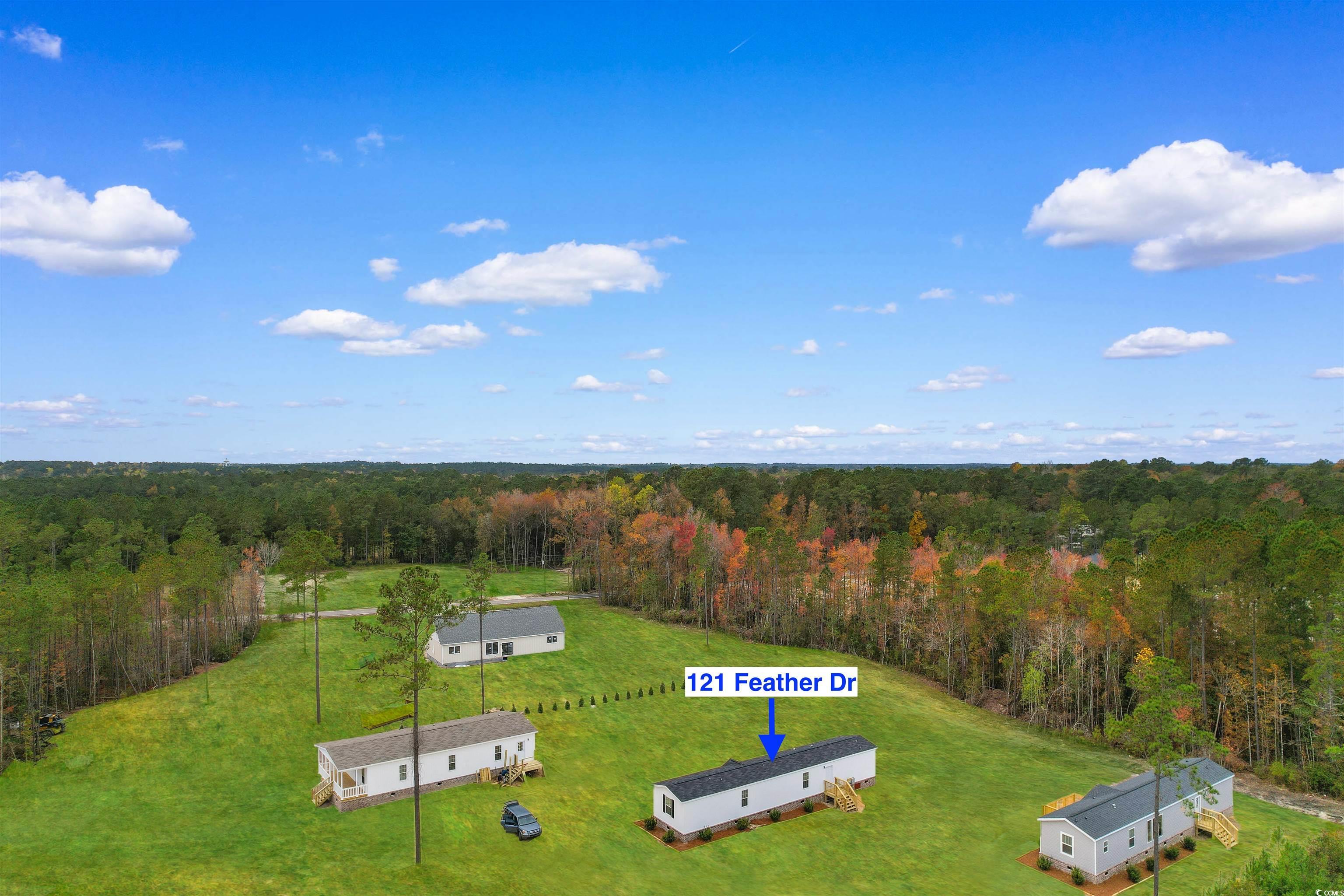 121 Feather Drive Georgetown, SC 29440 - Photo 29 of 40 View of subject property with a forest