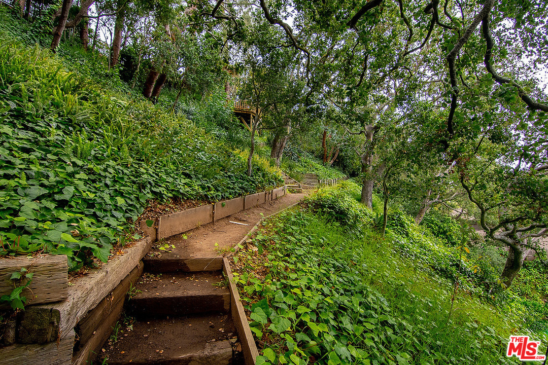 37 Haldeman Road Santa Monica, CA 90402 - Photo 21 of 23 a view of a garden with plants
