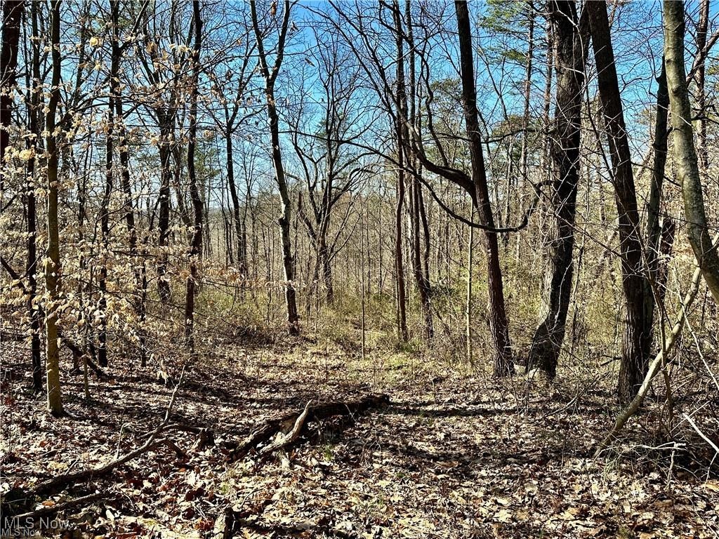 0 Fisher Ridge Road Fleming, OH 45729 - Photo 5 of 7 View of landscape with a forest view