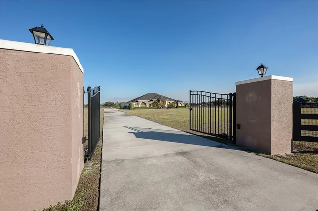 a view of a yard with plants