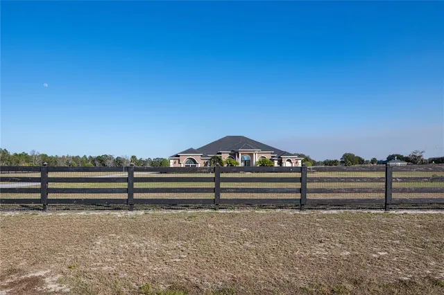 a palm tree sitting in front of a house with a big yard