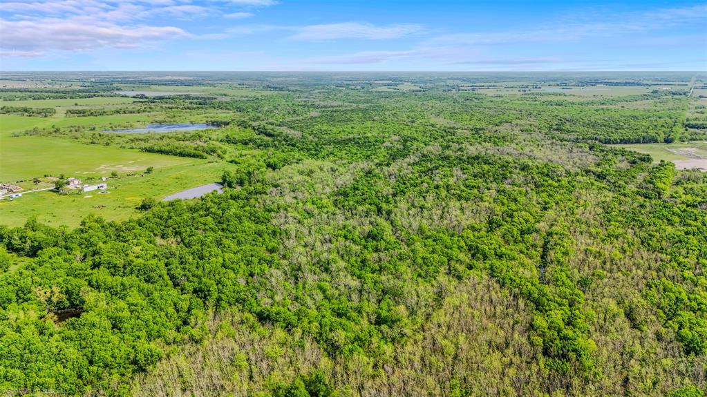 0 County Road 213 Forney, TX 75126 - Photo 7 of 14 a view of a field with an ocean