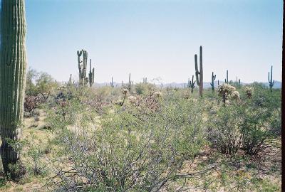 0 East Powerline Road Marana, AZ 85653 - Photo 6 of 10