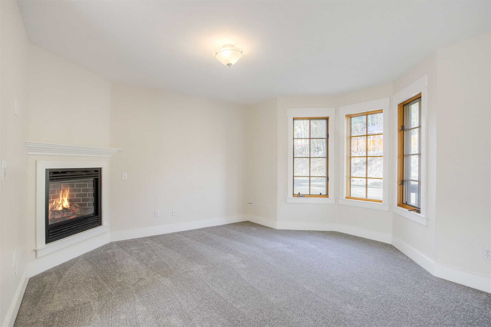372 North Oak Street Alma, CO 80420 - Photo 3 of 31