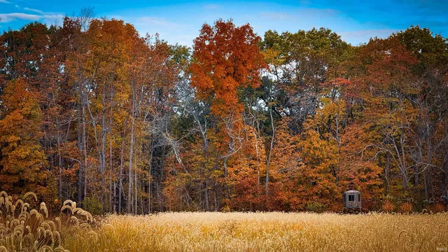 $1,799,000 | 0 West 550 Street, Rockville, IN 47872