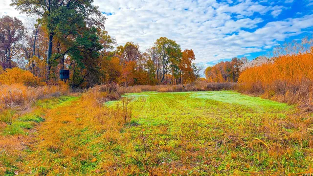 $1,799,000 | 0 West 550 Street, Rockville, IN 47872