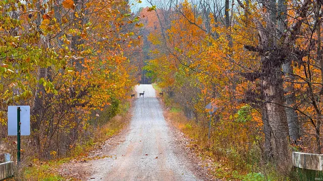 $1,799,000 | 0 West 550 Street, Rockville, IN 47872