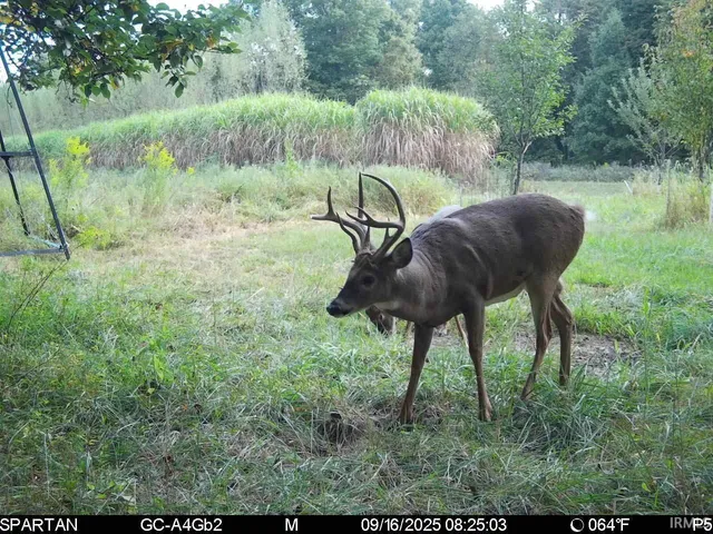 $1,799,000 | 0 West 550 Street, Rockville, IN 47872