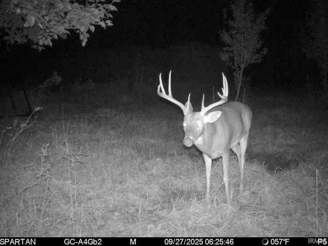 $1,799,000 | 0 West 550 Street, Rockville, IN 47872