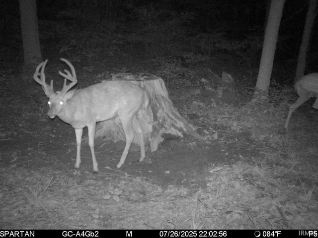 $1,799,000 | 0 West 550 Street, Rockville, IN 47872