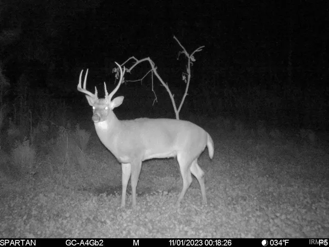 $1,799,000 | 0 West 550 Street, Rockville, IN 47872