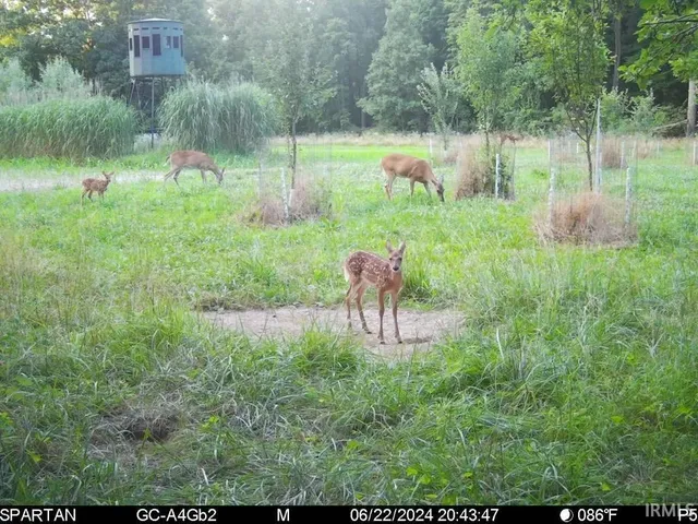 $1,799,000 | 0 West 550 Street, Rockville, IN 47872