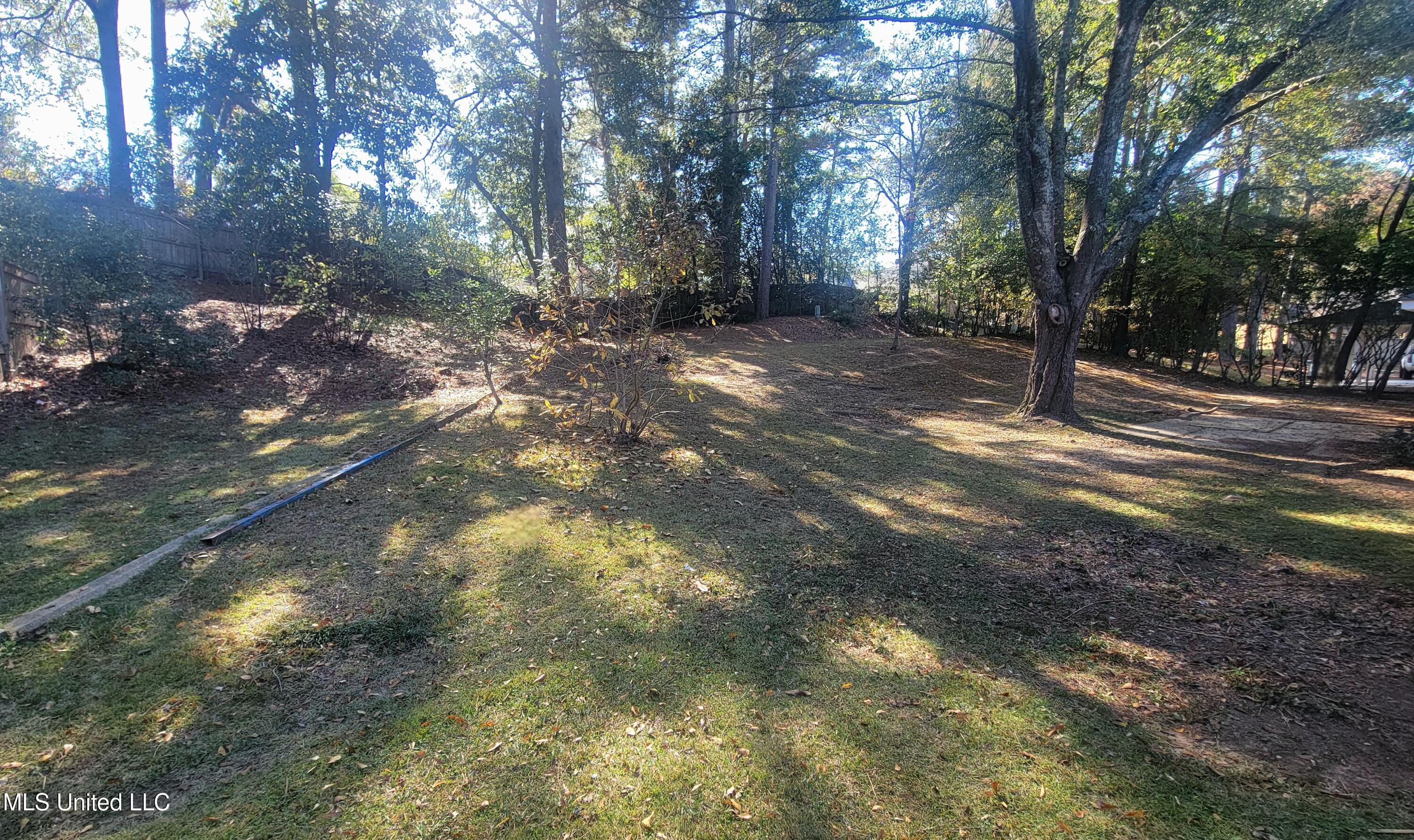 517 North Hills Street Meridian, MS 39305 - Photo 12 of 40 20251115_124001