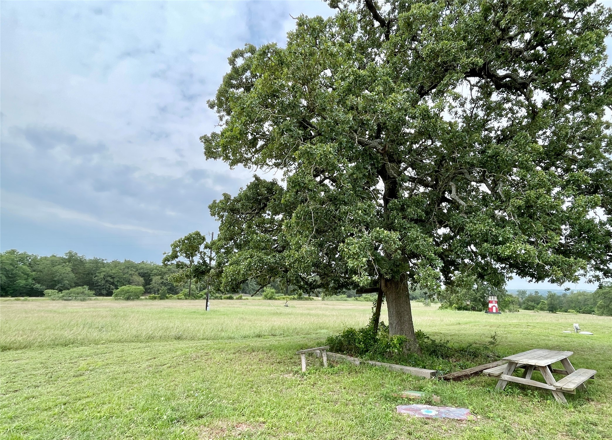 136 Fm 2239 Road Paige, TX 78659 - Photo 16 of 29 a view of an outdoor space and a yard