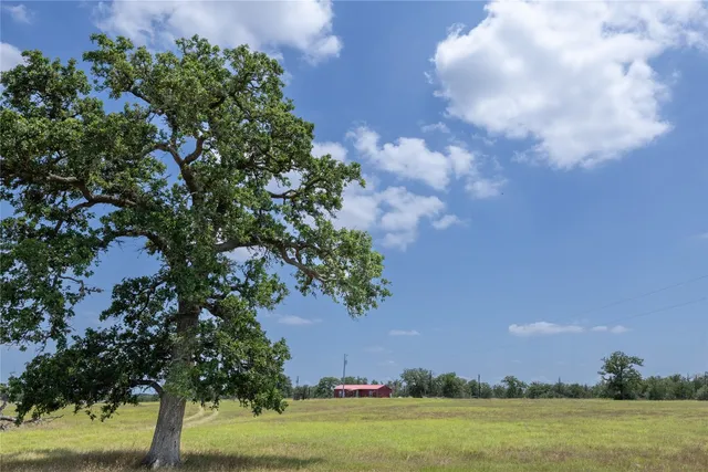 $635,000 | 2901 Mule Creek Road, Harwood, TX 78632