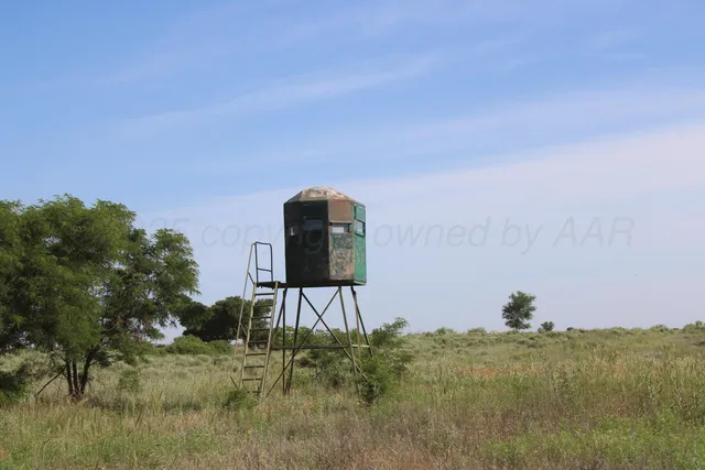 $365,000 | 4431 County Road 18, Clarendon, TX 79226