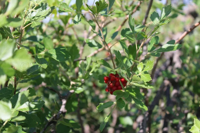 $365,000 | 4431 County Road 18, Clarendon, TX 79226