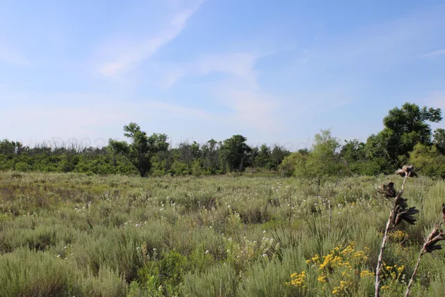 $365,000 | 4431 County Road 18, Clarendon, TX 79226