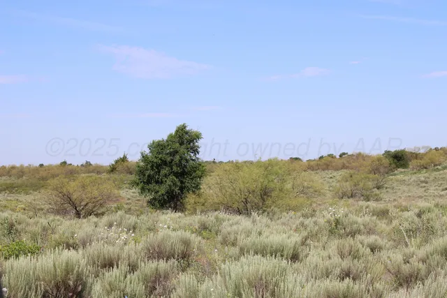 $365,000 | 4431 County Road 18, Clarendon, TX 79226