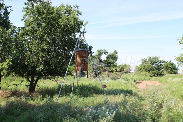 $365,000 | 4431 County Road 18, Clarendon, TX 79226