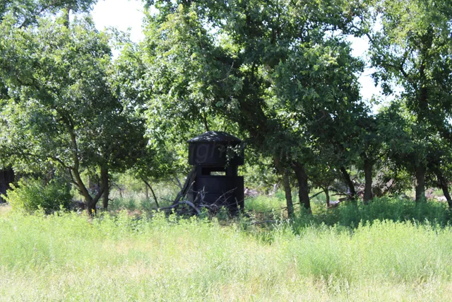 $365,000 | 4431 County Road 18, Clarendon, TX 79226