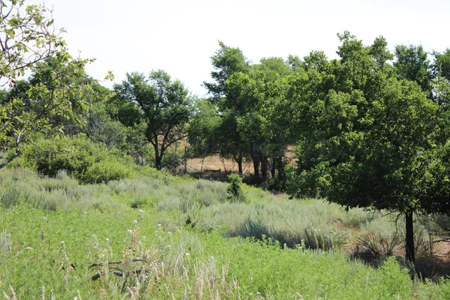 $365,000 | 4431 County Road 18, Clarendon, TX 79226