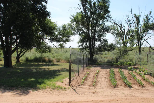 $365,000 | 4431 County Road 18, Clarendon, TX 79226