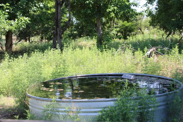 $365,000 | 4431 County Road 18, Clarendon, TX 79226