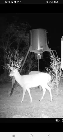 $365,000 | 4431 County Road 18, Clarendon, TX 79226