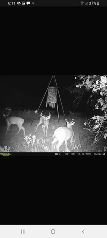 $365,000 | 4431 County Road 18, Clarendon, TX 79226