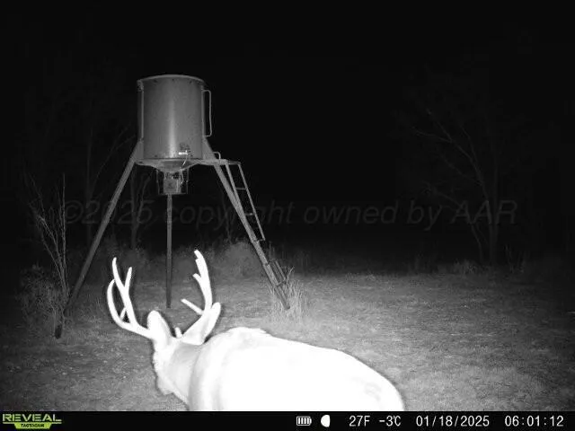 $365,000 | 4431 County Road 18, Clarendon, TX 79226