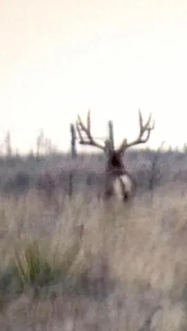 $365,000 | 4431 County Road 18, Clarendon, TX 79226