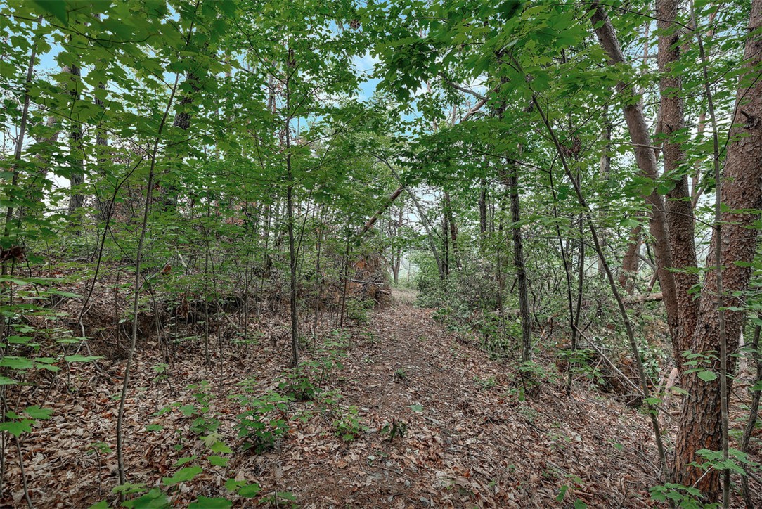 Lot N-25 Jocassee Ridge Way Salem, SC 29676 - Photo 5 of 17