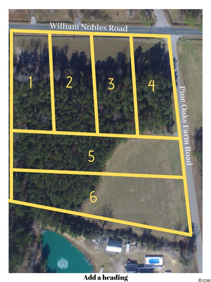 Tbd Lot 1 William Nobles Road Aynor, SC 29511 - Photo 3 of 3 Gallery Image 3