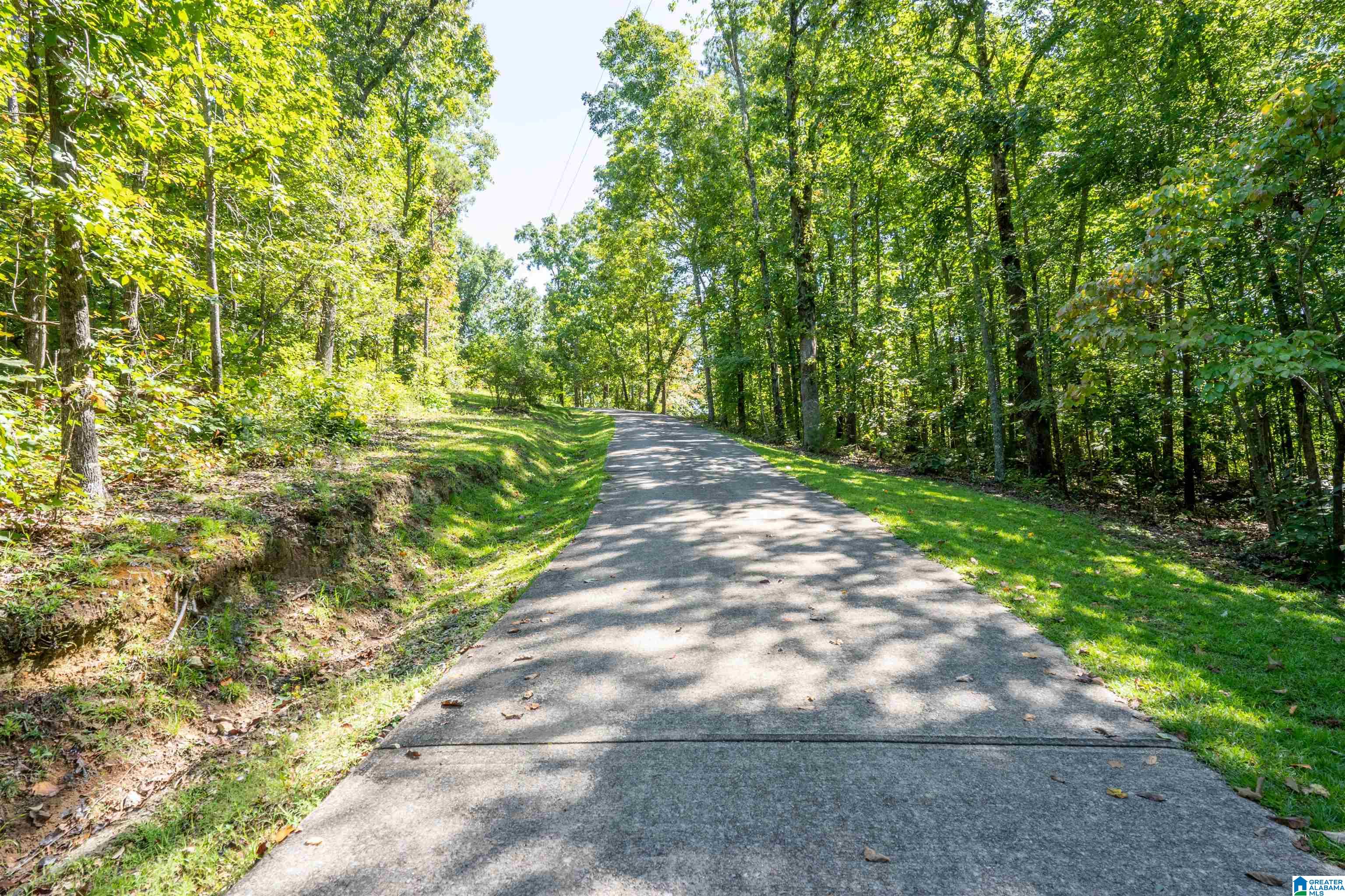2264 Pleasant Valley Road Jacksonville, AL 36265 - Photo 8 of 45