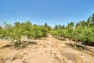a view of a dining room with furniture and a chandelier