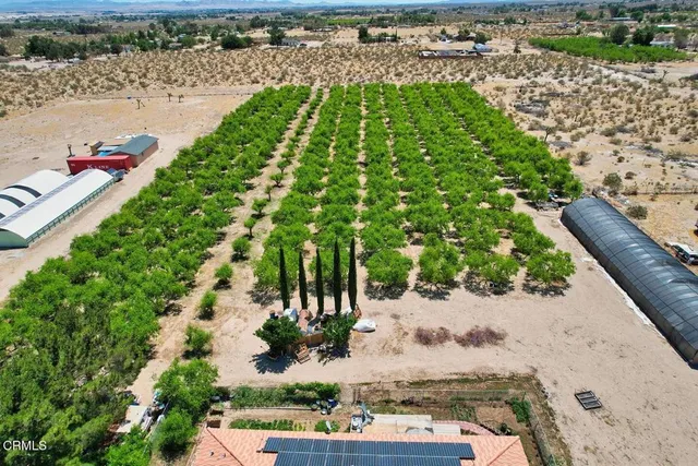 a view of a pathway with a park