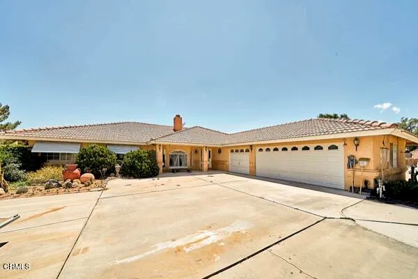 a view of a yard with palm tree