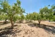a spacious bedroom with a bed and window