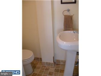 779 Trephanny Lane Wayne, PA 19087 - Photo 10 of 11 Bathroom