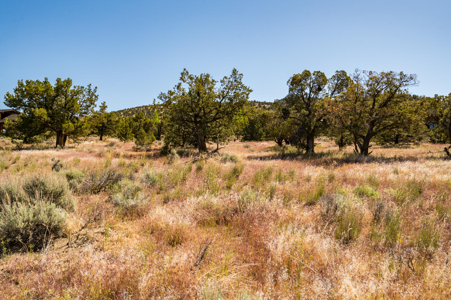 Lot 141 Southwest Brasada Ranch Road Powell Butte, OR 97753 - Photo 16 of 20 JH5_2129
