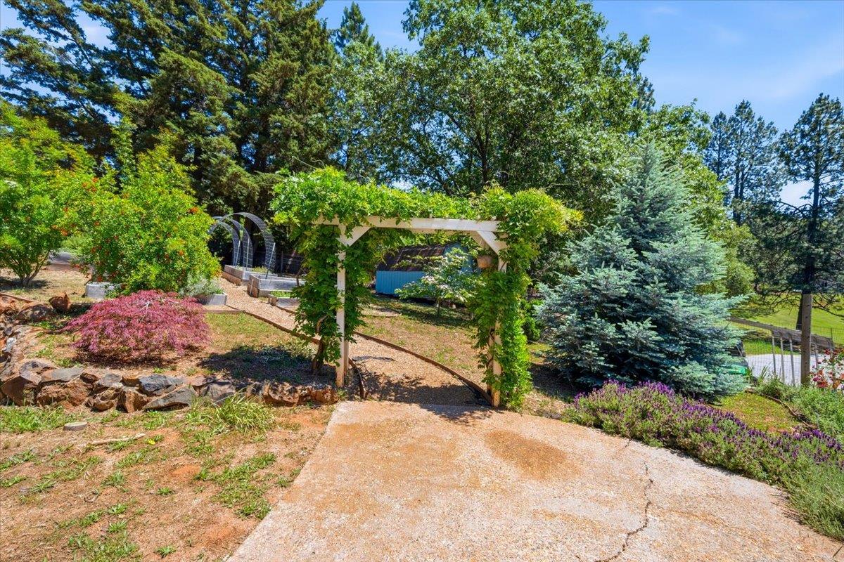 10704 Round Valley Road Grass Valley, CA 95949 - Photo 46 of 56