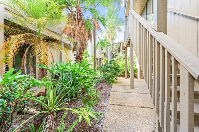 a view of a potted plants with sky view