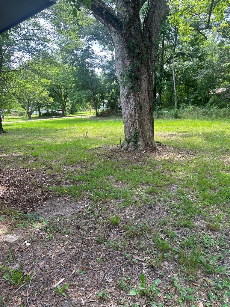 223 South Beech Street Bude, MS 39630 - Photo 21 of 23 Photo 24