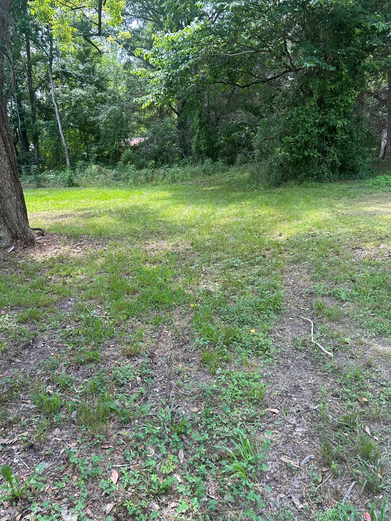 223 South Beech Street Bude, MS 39630 - Photo 23 of 23 Photo 26