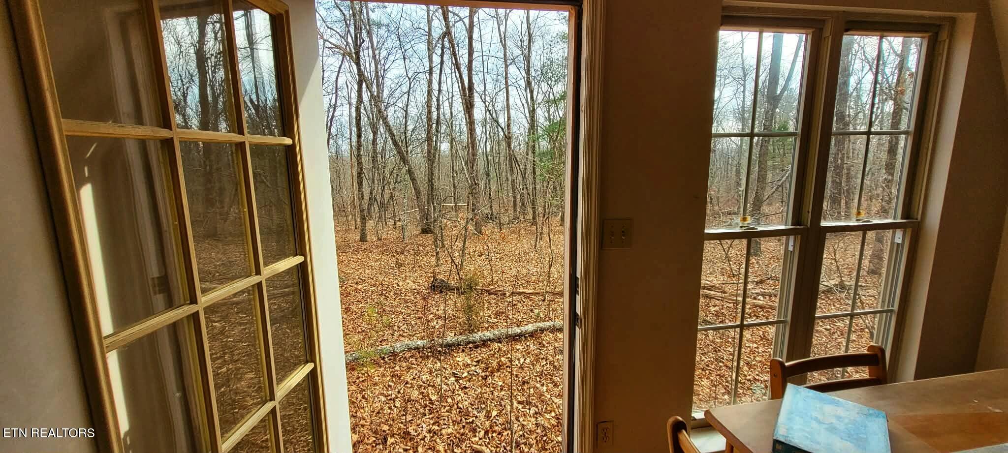 4.9-acres Raccoon Ridge Road Spring City, TN 37381 - Photo 11 of 27 1000006328