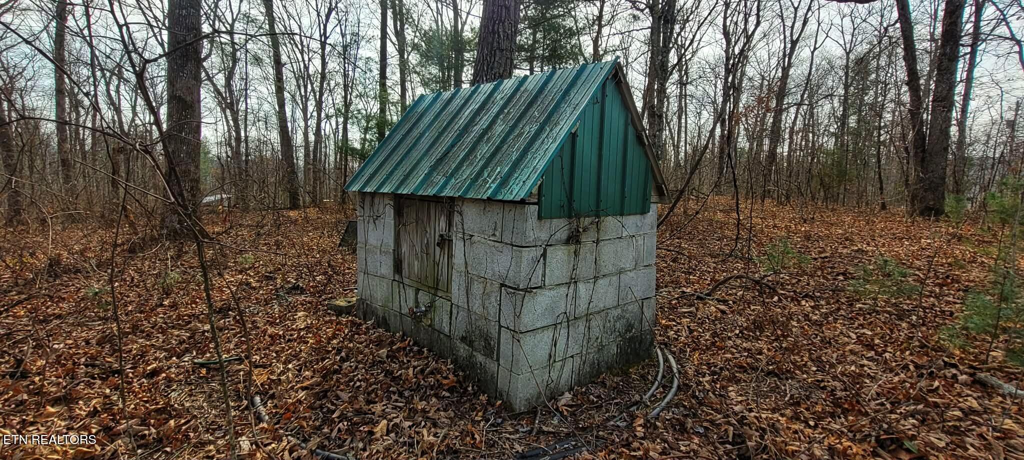 4.9-acres Raccoon Ridge Road Spring City, TN 37381 - Photo 19 of 27 1000006341