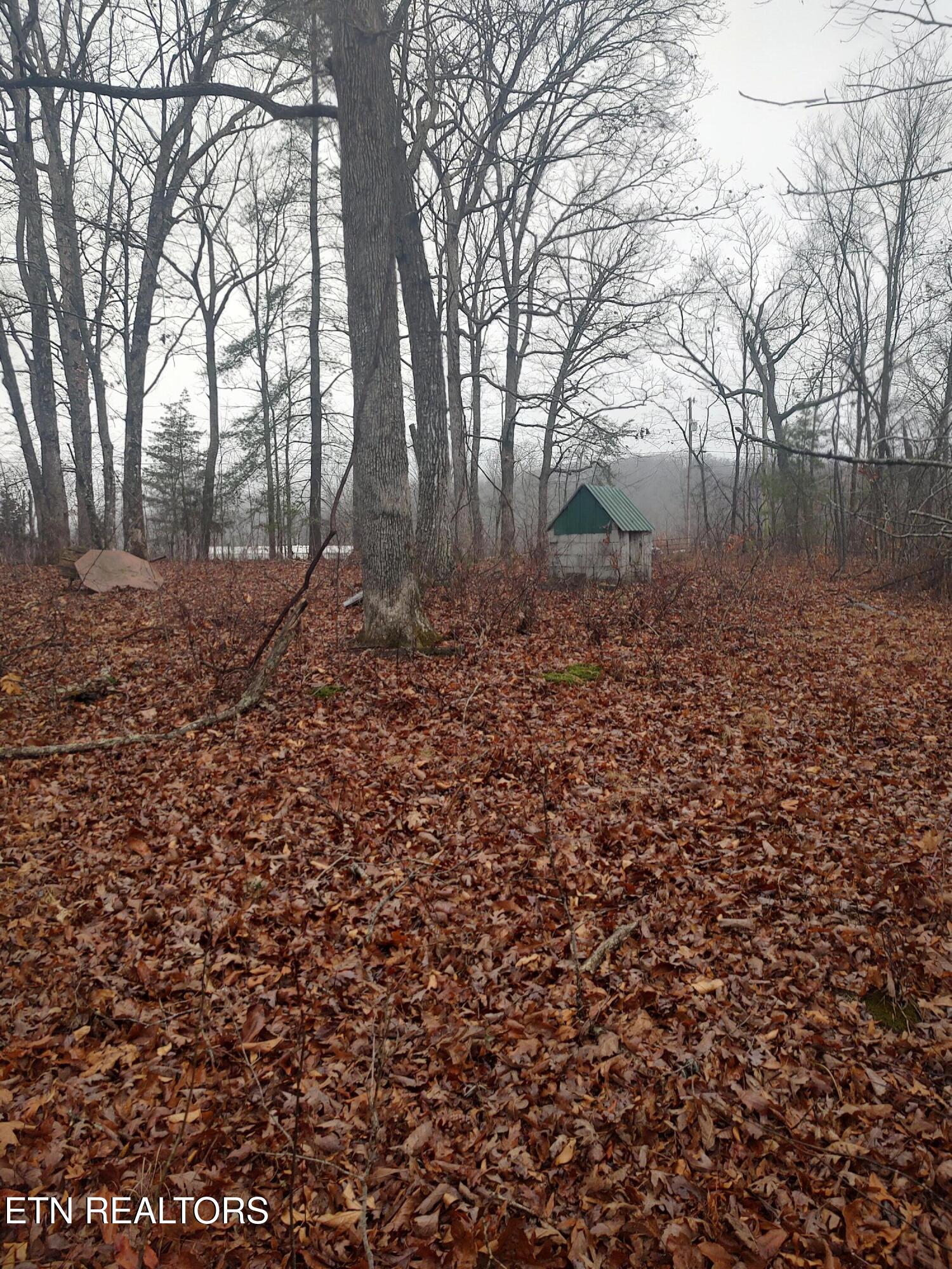 4.9-acres Raccoon Ridge Road Spring City, TN 37381 - Photo 25 of 27 IMG_20260106_160718577_HDR